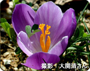 NbJX
